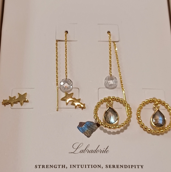 5 PAIRS OF INTERCHANGEABLE EARRINGS BY LUNA NORTE - Picture 6 of 12